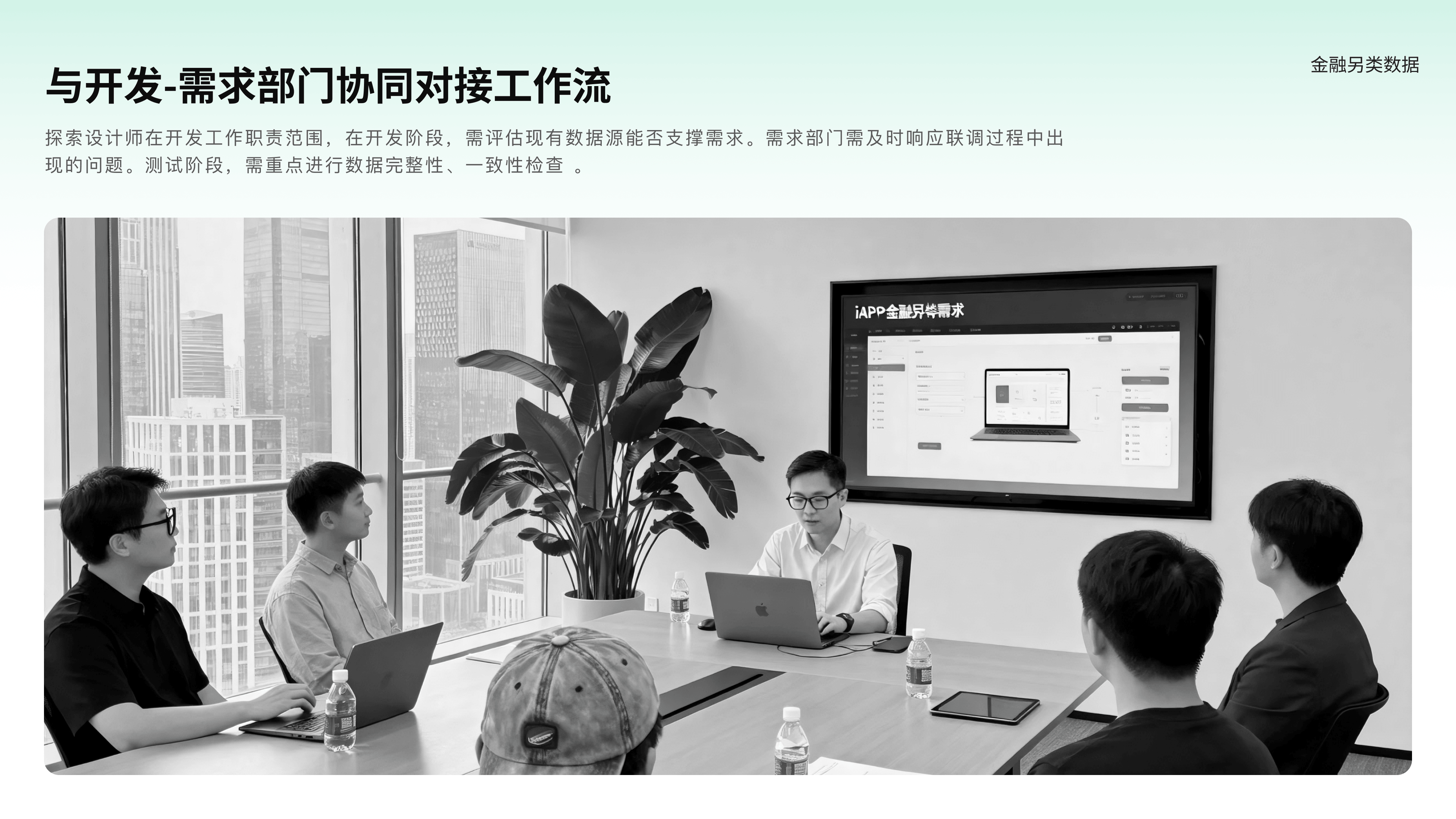 月狐数据项目介绍 4